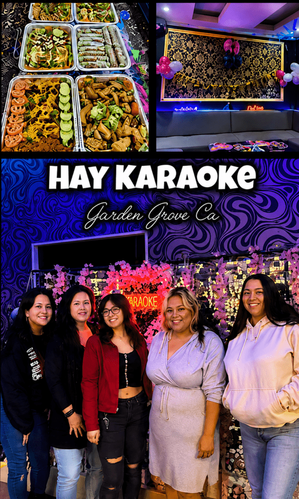 Bachelorette Party Karaoke Venue