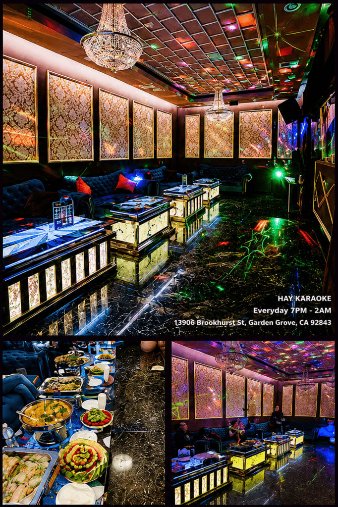 Large Group Karaoke Room